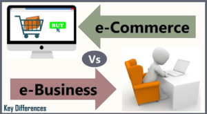 What Is E-Commerce Business